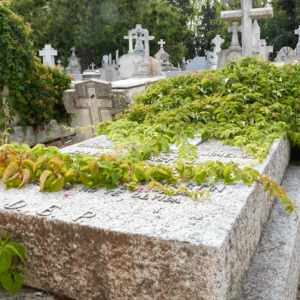 Cementerio-Almudena
