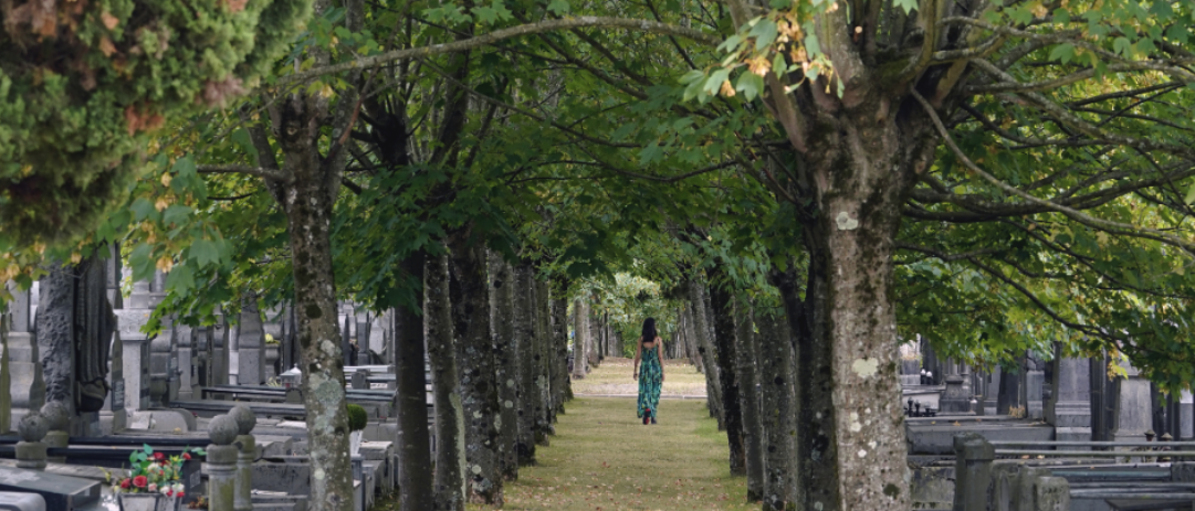 Guía-flora-cementerio-bilbao