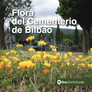 Guía-flora-cementerio-municipal-bilbao-2023