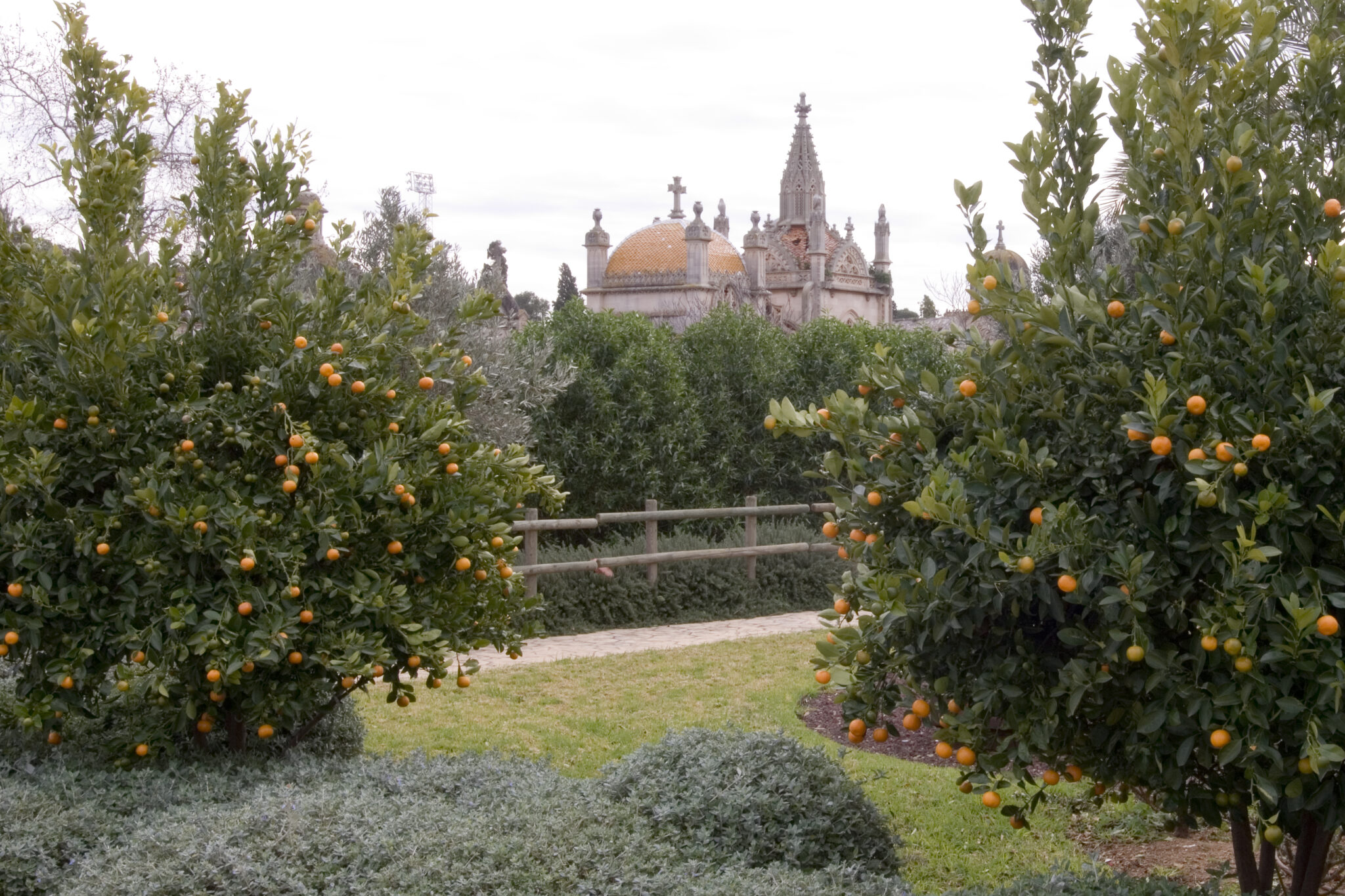 Cementerio-Palma-mallorca-2024