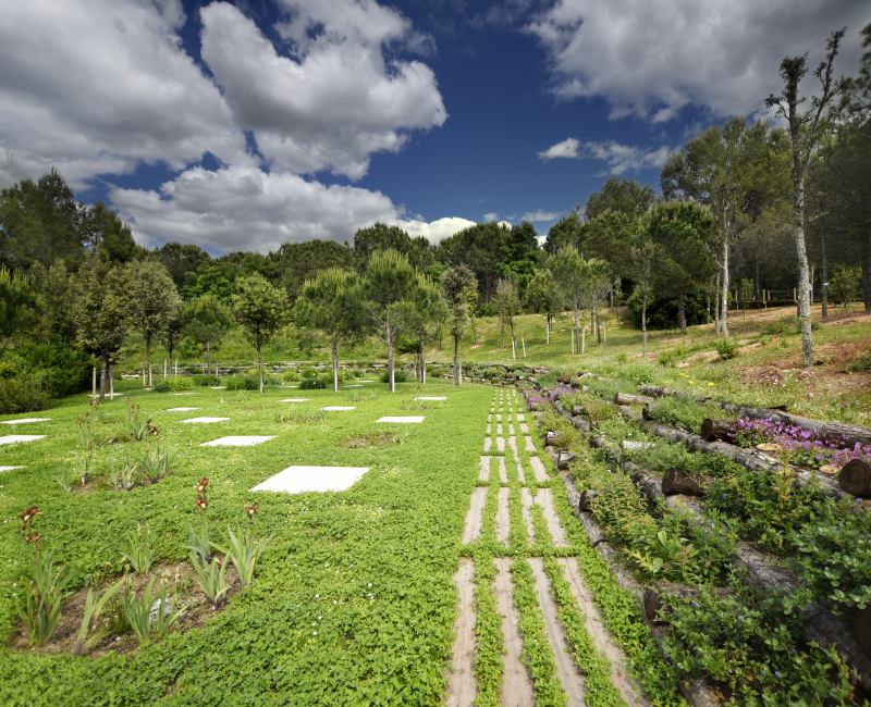 Cementerio-roques-blanques-todos-santos-2024