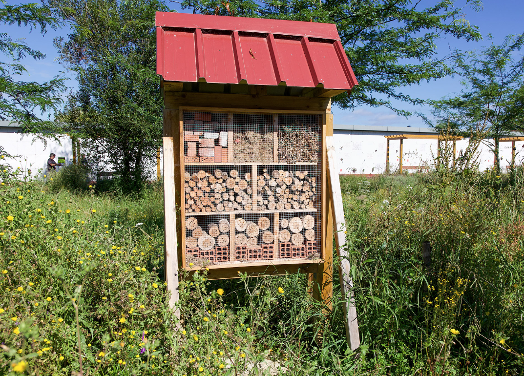 santuario-insectos-cementerio-bilbao