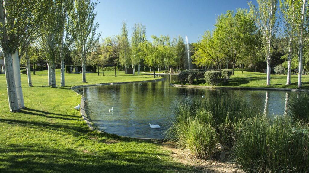 alcala-henares-2025-todos-santos